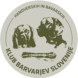 logo klub bavarjev
